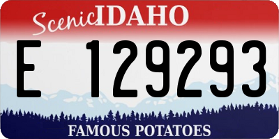 ID license plate E129293