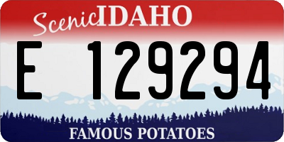ID license plate E129294