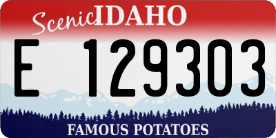 ID license plate E129303