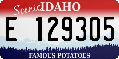 ID license plate E129305