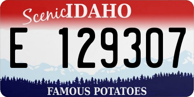 ID license plate E129307
