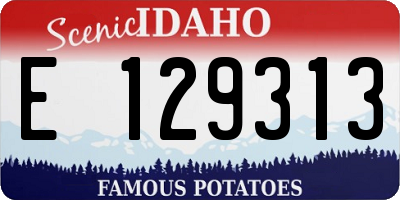 ID license plate E129313