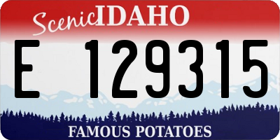 ID license plate E129315