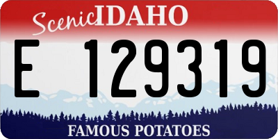 ID license plate E129319