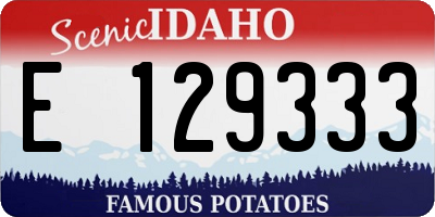 ID license plate E129333