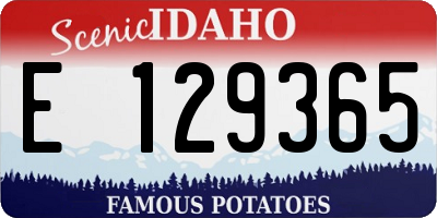 ID license plate E129365