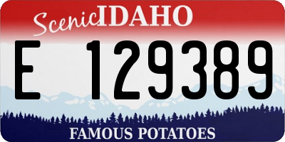 ID license plate E129389