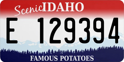 ID license plate E129394