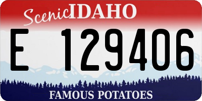 ID license plate E129406