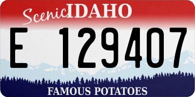 ID license plate E129407