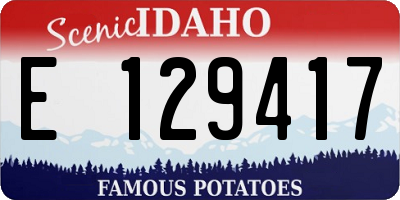 ID license plate E129417