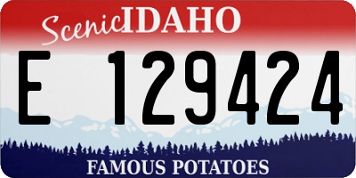 ID license plate E129424