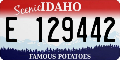 ID license plate E129442