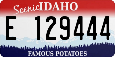 ID license plate E129444