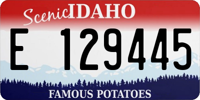 ID license plate E129445