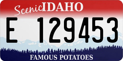 ID license plate E129453