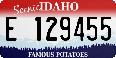 ID license plate E129455