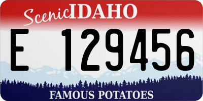 ID license plate E129456