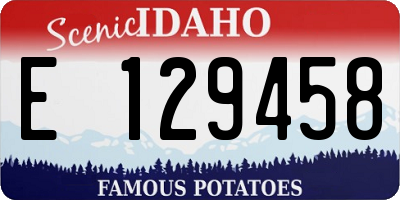 ID license plate E129458