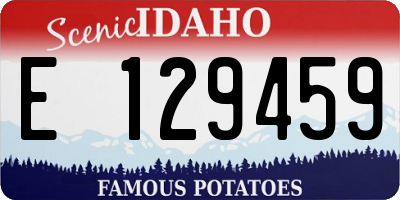 ID license plate E129459