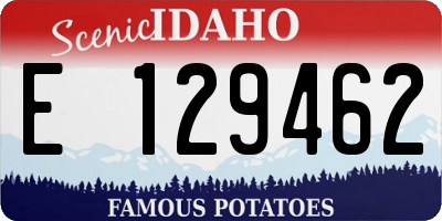 ID license plate E129462