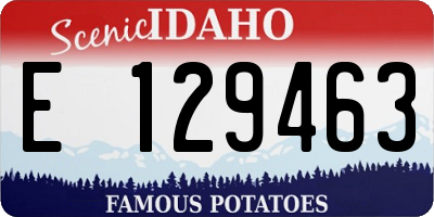 ID license plate E129463