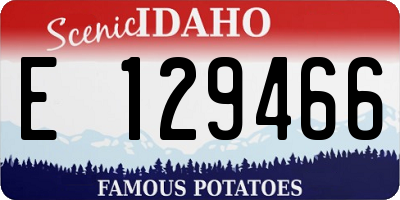ID license plate E129466