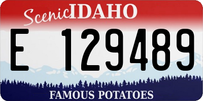 ID license plate E129489