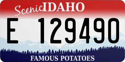 ID license plate E129490