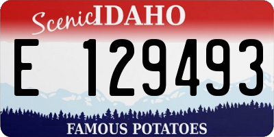 ID license plate E129493