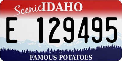 ID license plate E129495