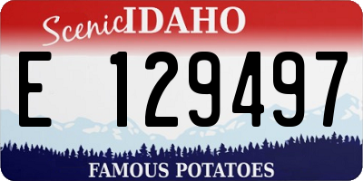 ID license plate E129497