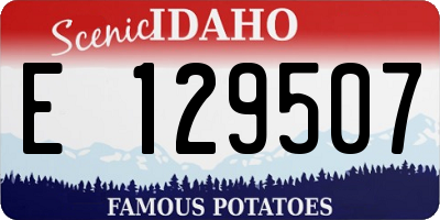 ID license plate E129507