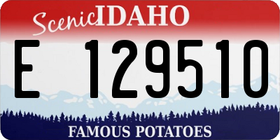 ID license plate E129510