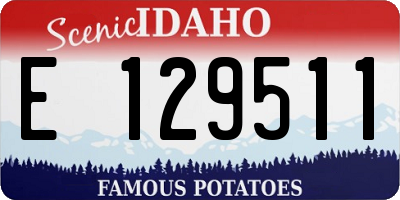 ID license plate E129511