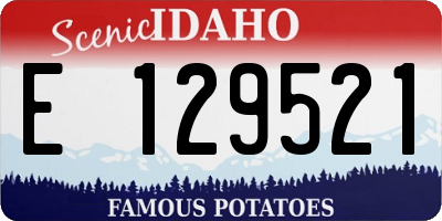 ID license plate E129521