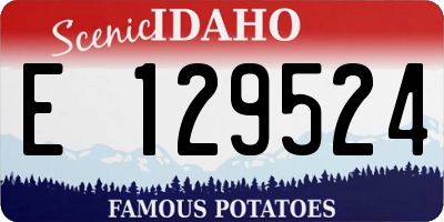ID license plate E129524
