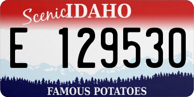 ID license plate E129530