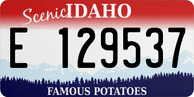 ID license plate E129537