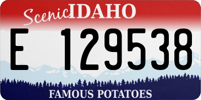 ID license plate E129538