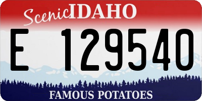 ID license plate E129540