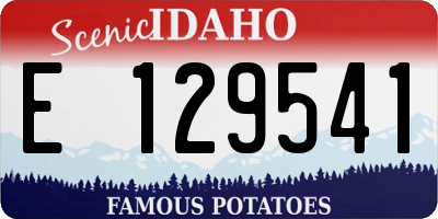 ID license plate E129541