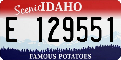 ID license plate E129551