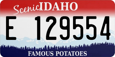 ID license plate E129554