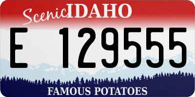 ID license plate E129555