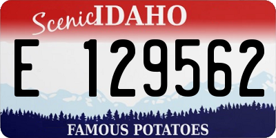 ID license plate E129562
