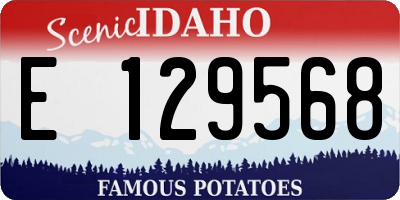 ID license plate E129568