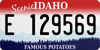 ID license plate E129569