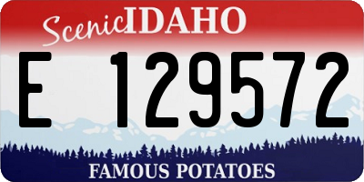 ID license plate E129572