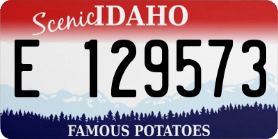 ID license plate E129573